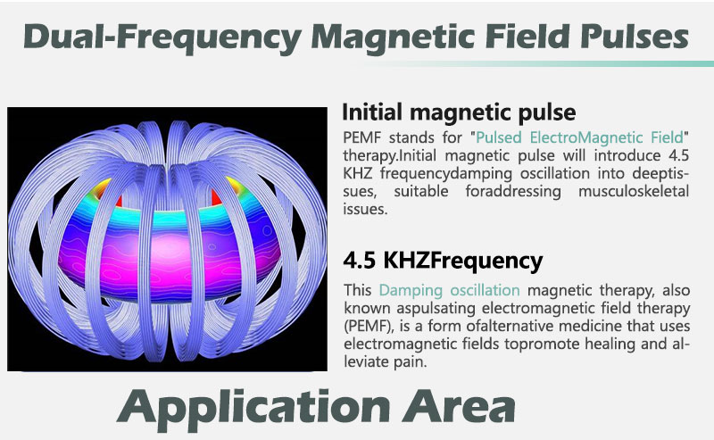 pulse equine machine