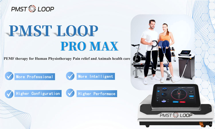 pmst loop pro max