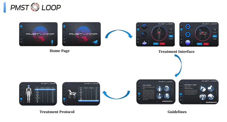 pmst loop pro max