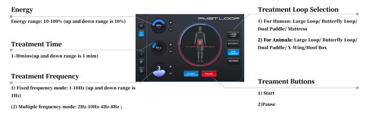 pmst loop pro max