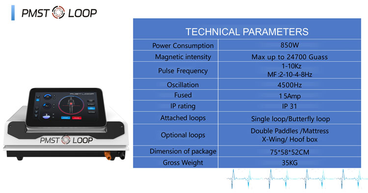 pmst loop pro max