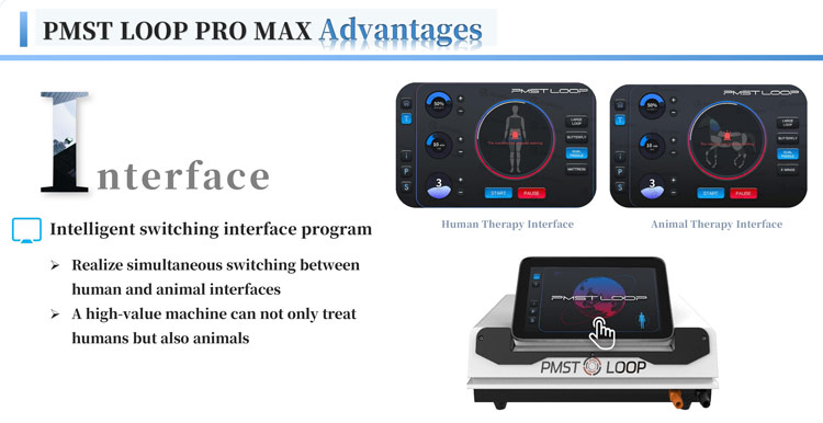 pmst loop pro max